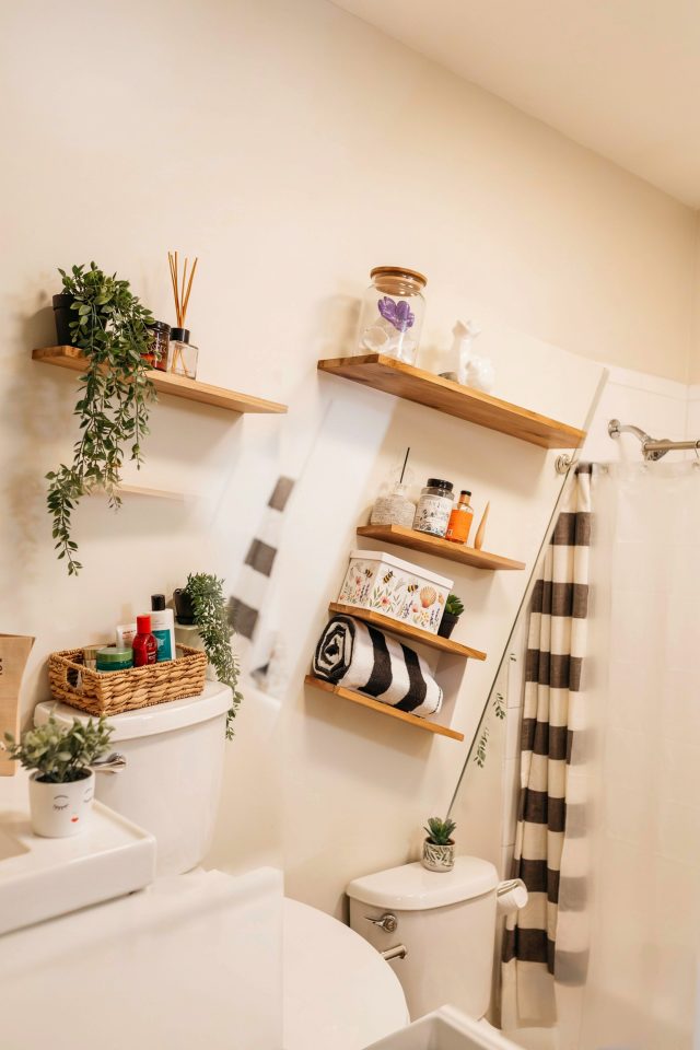 Bathroom Shelving Ideas | Small Bathroom Organization on a Budget | DIY Storage Solutions