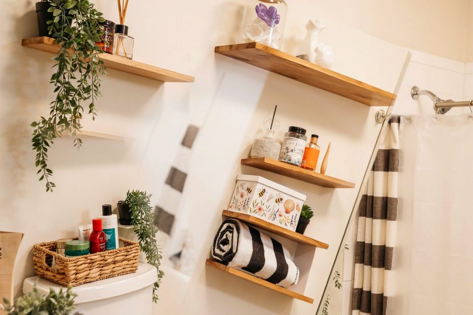 Bathroom Shelving Ideas | Small Bathroom Organization on a Budget | DIY Storage Solutions